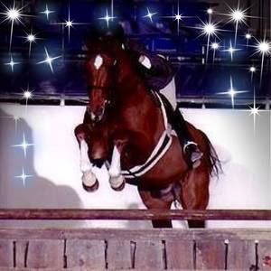 Meet your Posher, Jo